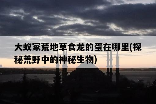 大蟻冢荒地草食龍的蛋在哪里，探秘荒野中的神秘生物-圖1