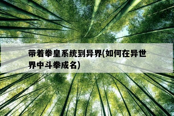 帶著拳皇系統到異界，如何在異世界中斗拳成名-圖1