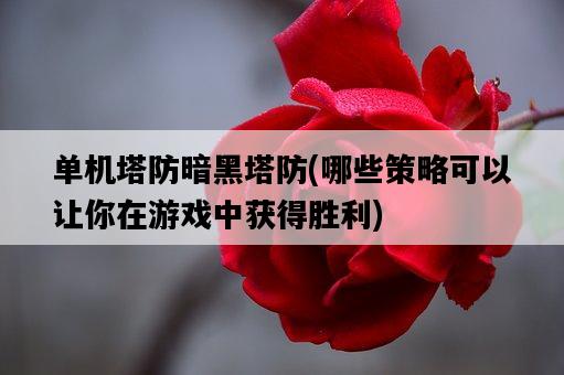 單機塔防暗黑塔防，哪些策略可以讓你在游戲中獲得勝利-圖1