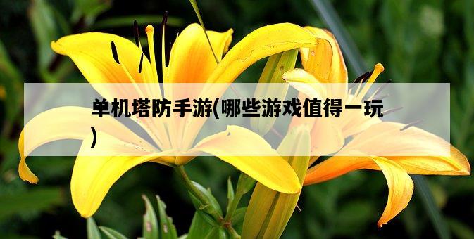 單機塔防手游，哪些游戲值得一玩-圖1