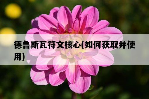 德魯斯瓦符文核心，如何獲取并使用-圖1