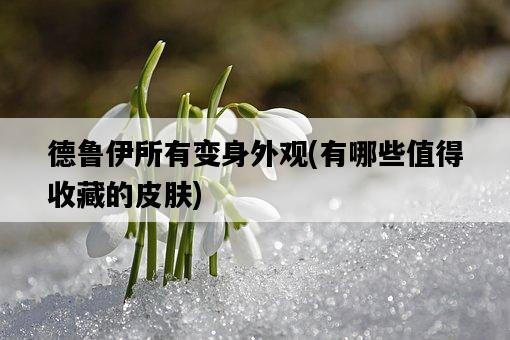 德魯伊所有變身外觀，有哪些值得收藏的皮膚-圖1