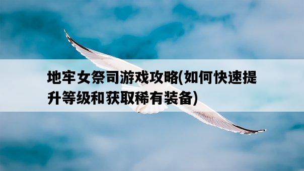 地牢女祭司游戲攻略，如何快速提升等級和獲取稀有裝備-圖1