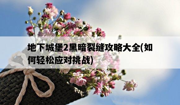 地下城堡2黑暗裂縫攻略大全，如何輕松應對挑戰-圖1