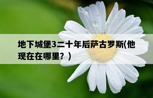 地下城堡3二十年后薩古羅斯，他現在在哪里？-圖1