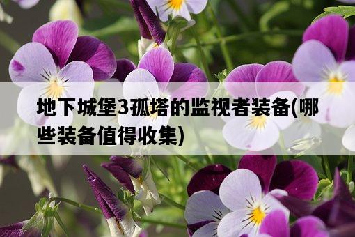 地下城堡3孤塔的監視者裝備，哪些裝備值得收集-圖1