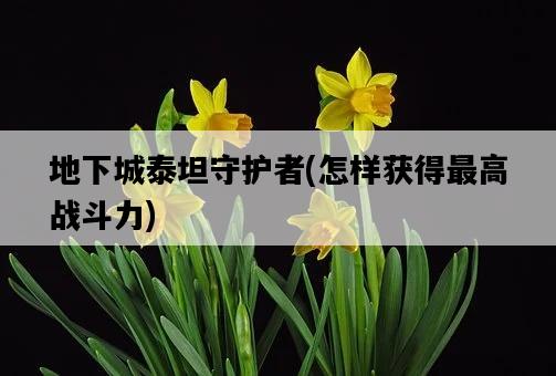 地下城泰坦守護者，怎樣獲得最高戰斗力-圖1