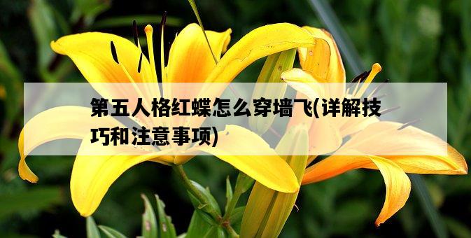 第五人格紅蝶怎么穿墻飛，詳解技巧和注意事項-圖1