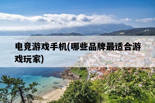 電競游戲手機，哪些品牌最適合游戲玩家-圖1