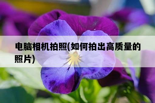 電腦相機拍照，如何拍出高質量的照片-圖1