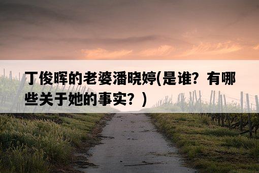 丁俊暉的老婆潘曉婷，是誰？有哪些關于她的事實？-圖1