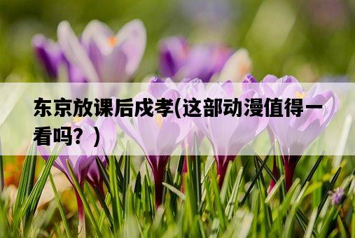 東京放課后戍孝，這部動漫值得一看嗎？-圖1