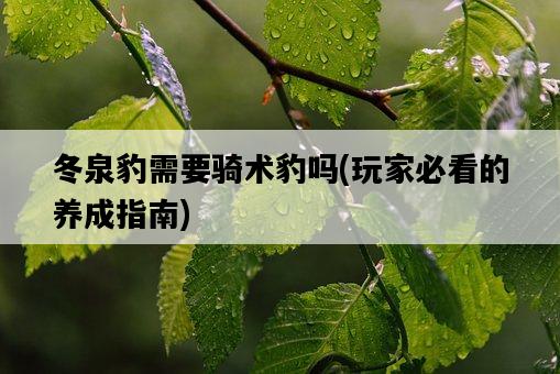 冬泉豹需要騎術豹嗎，玩家必看的養成指南-圖1