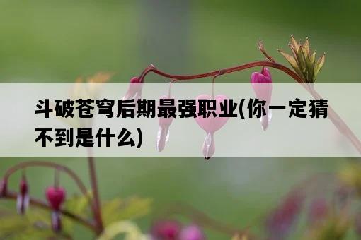 斗破蒼穹后期最強職業，你一定猜不到是什么-圖1