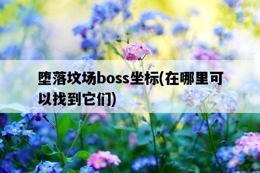 墮落墳場boss坐標，在哪里可以找到它們-圖1