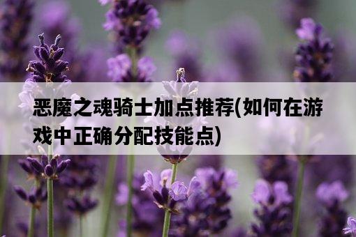 惡魔之魂騎士加點推薦，如何在游戲中正確分配技能點-圖1