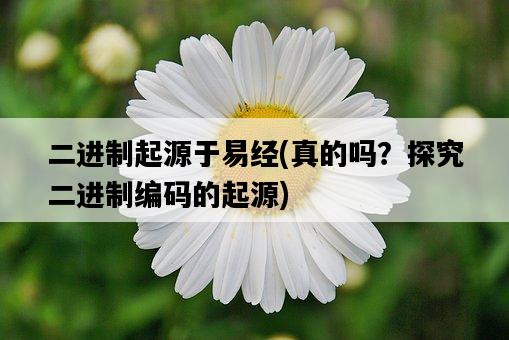 二進制起源于易經，真的嗎？探究二進制編碼的起源-圖1