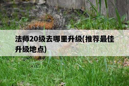法師20級去哪里升級，推薦最佳升級地點-圖1