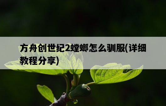 方舟創世紀2螳螂怎么馴服，詳細教程分享-圖1