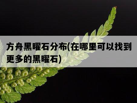 方舟黑曜石分布，在哪里可以找到更多的黑曜石-圖1