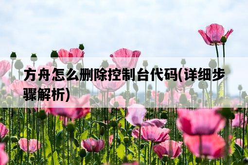 方舟怎么刪除控制臺代碼，詳細步驟解析-圖1
