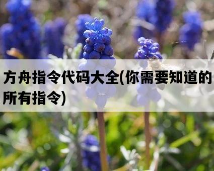 方舟指令代碼大全,你需要知道的所有指令-圖1 方舟指令代碼大全,你需要知道的所有指令-圖1