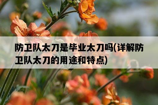 防衛隊太刀是畢業太刀嗎，詳解防衛隊太刀的用途和特點-圖1