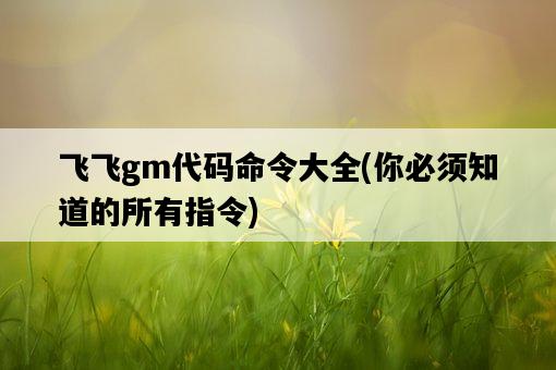 飛飛gm代碼命令大全，你必須知道的所有指令-圖1