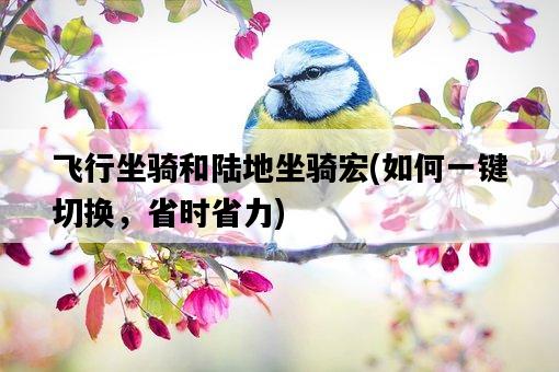 飛行坐騎和陸地坐騎宏，如何一鍵切換，省時省力-圖1