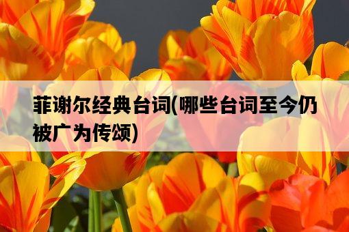 菲謝爾經典臺詞，哪些臺詞至今仍被廣為傳頌-圖1