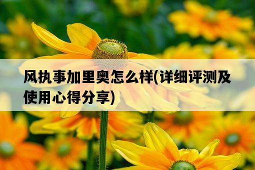 風執事加里奧怎么樣，詳細評測及使用心得分享-圖1