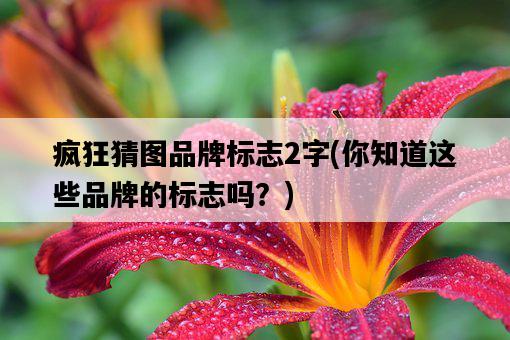 瘋狂猜圖品牌標志2字，你知道這些品牌的標志嗎？-圖1