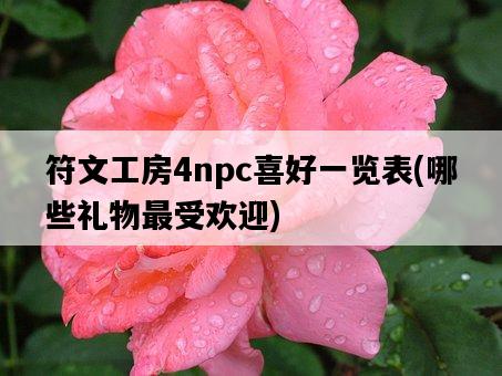 符文工房4npc喜好一覽表，哪些禮物最受歡迎-圖1