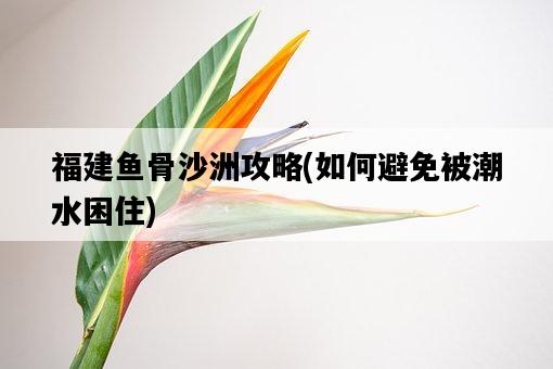 福建魚骨沙洲攻略，如何避免被潮水困住-圖1