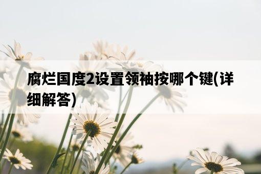腐爛國度2設置領袖按哪個鍵，詳細解答-圖1