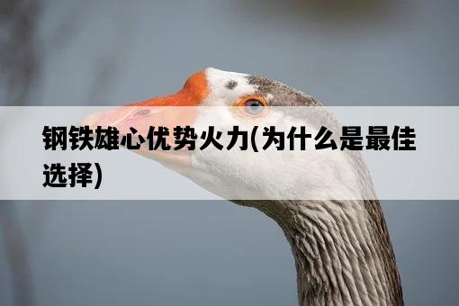 鋼鐵雄心優勢火力，為什么是最佳選擇-圖1