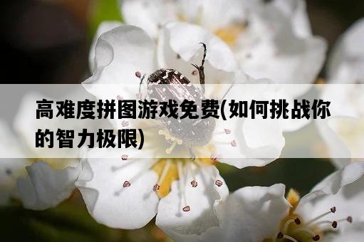 高難度拼圖游戲免費，如何挑戰你的智力極限-圖1