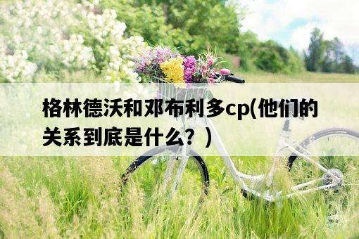 格林德沃和鄧布利多cp，他們的關系到底是什么？-圖1