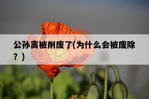 公孫離被削廢了，為什么會被廢除？-圖1