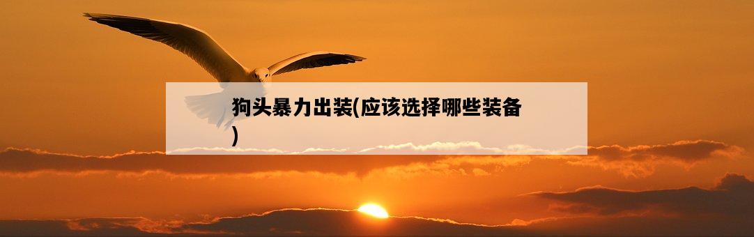 狗頭暴力出裝，應該選擇哪些裝備-圖1