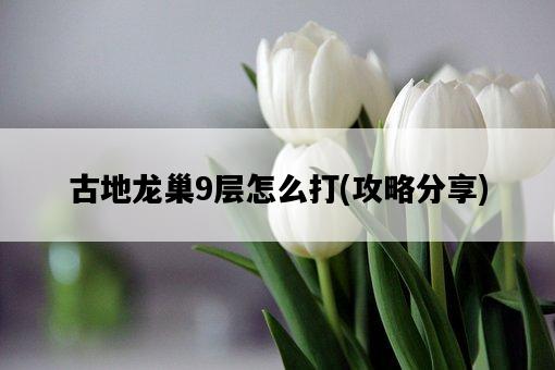 古地龍巢9層怎么打，攻略分享-圖1