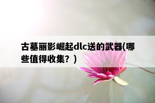 古墓麗影崛起dlc送的武器，哪些值得收集？-圖1