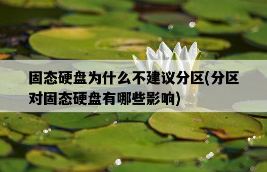 固態硬盤為什么不建議分區，分區對固態硬盤有哪些影響-圖1