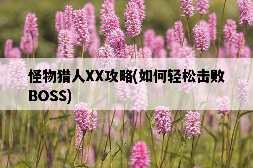 怪物獵人XX攻略，如何輕松擊敗BOSS-圖1