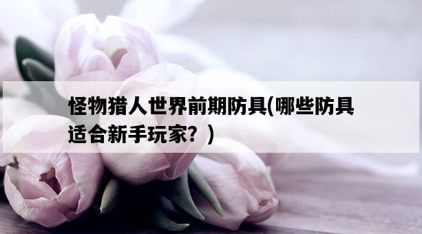 怪物獵人世界前期防具，哪些防具適合新手玩家？-圖1