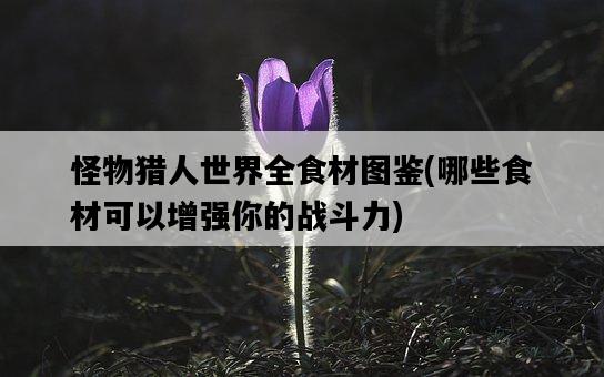 怪物獵人世界全食材圖鑒，哪些食材可以增強你的戰斗力-圖1