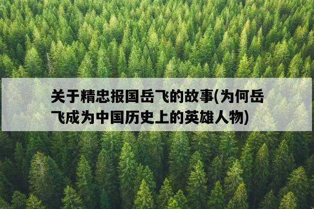 關于精忠報國岳飛的故事，為何岳飛成為中國歷史上的英雄人物-圖1