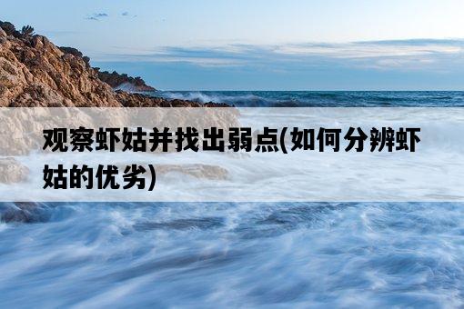 觀察蝦姑并找出弱點，如何分辨蝦姑的優劣-圖1