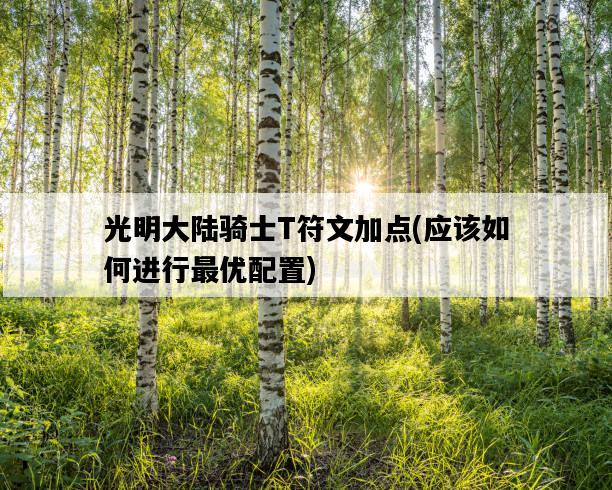 光明大陸騎士T符文加點，應該如何進行最優配置-圖1