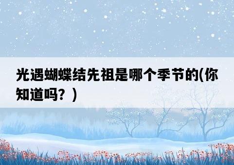光遇蝴蝶結先祖是哪個季節的，你知道嗎？-圖1